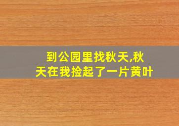 到公园里找秋天,秋天在我捡起了一片黄叶