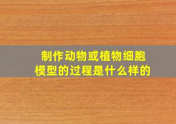 制作动物或植物细胞模型的过程是什么样的