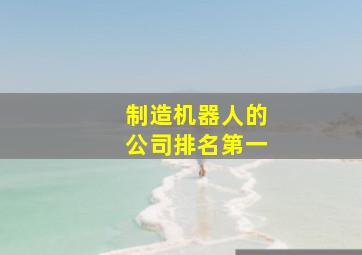 制造机器人的公司排名第一