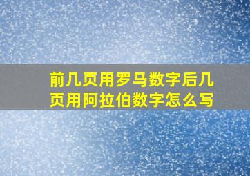 前几页用罗马数字后几页用阿拉伯数字怎么写