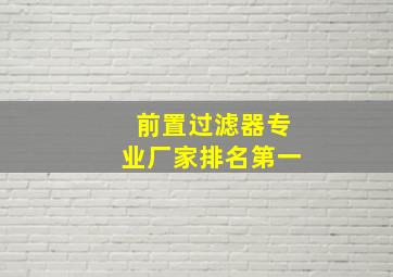 前置过滤器专业厂家排名第一