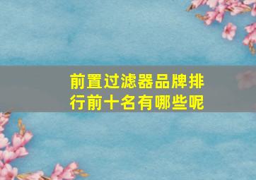 前置过滤器品牌排行前十名有哪些呢