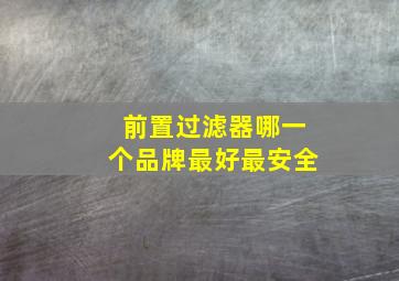 前置过滤器哪一个品牌最好最安全