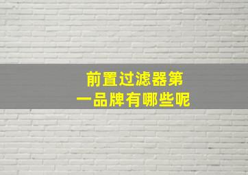 前置过滤器第一品牌有哪些呢