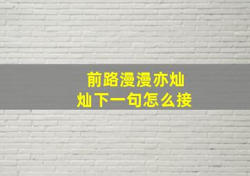 前路漫漫亦灿灿下一句怎么接