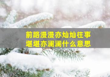 前路漫漫亦灿灿往事堪堪亦澜澜什么意思