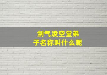 剑气凌空堂弟子名称叫什么呢