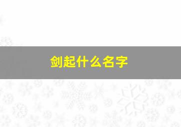 剑起什么名字