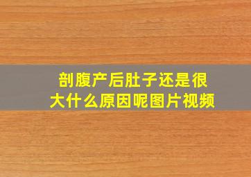 剖腹产后肚子还是很大什么原因呢图片视频