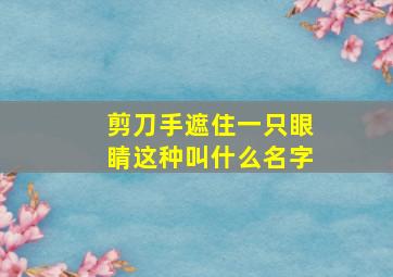 剪刀手遮住一只眼睛这种叫什么名字