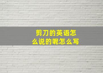 剪刀的英语怎么说的呢怎么写