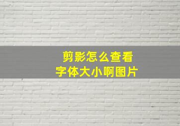 剪影怎么查看字体大小啊图片