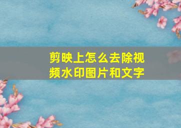 剪映上怎么去除视频水印图片和文字