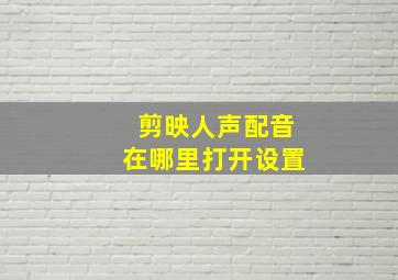 剪映人声配音在哪里打开设置