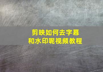 剪映如何去字幕和水印呢视频教程