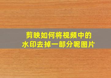 剪映如何将视频中的水印去掉一部分呢图片