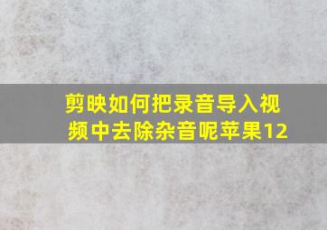 剪映如何把录音导入视频中去除杂音呢苹果12