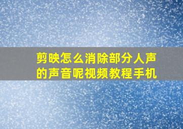 剪映怎么消除部分人声的声音呢视频教程手机