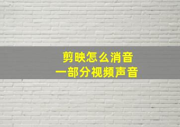 剪映怎么消音一部分视频声音