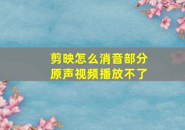 剪映怎么消音部分原声视频播放不了