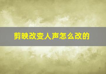 剪映改变人声怎么改的