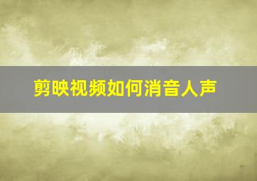 剪映视频如何消音人声