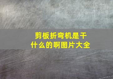 剪板折弯机是干什么的啊图片大全