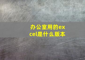 办公室用的excel是什么版本