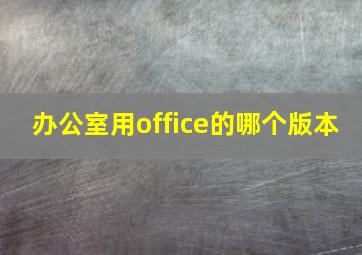 办公室用office的哪个版本