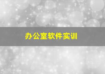 办公室软件实训