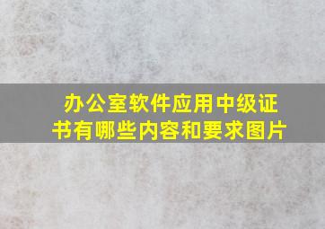 办公室软件应用中级证书有哪些内容和要求图片