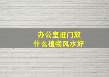 办公室进门放什么植物风水好