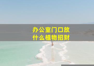 办公室门口放什么植物招财