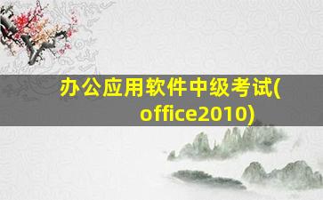 办公应用软件中级考试(office2010)