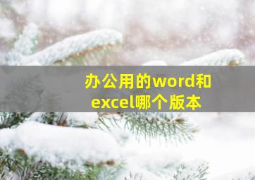 办公用的word和excel哪个版本