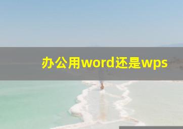 办公用word还是wps