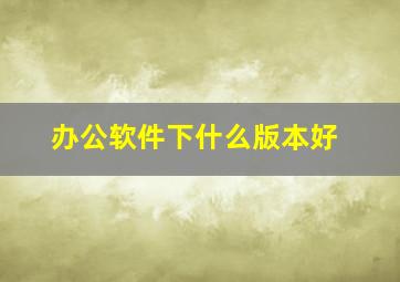 办公软件下什么版本好