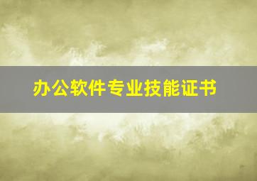 办公软件专业技能证书