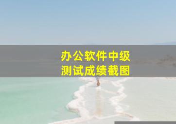 办公软件中级测试成绩截图