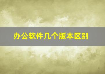 办公软件几个版本区别