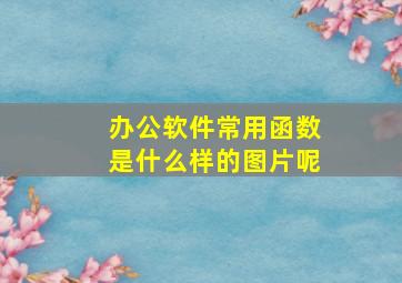 办公软件常用函数是什么样的图片呢