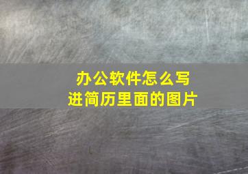 办公软件怎么写进简历里面的图片