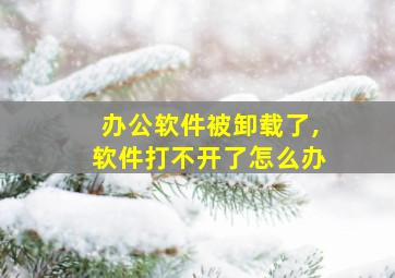 办公软件被卸载了,软件打不开了怎么办