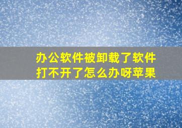 办公软件被卸载了软件打不开了怎么办呀苹果