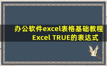 办公软件excel表格基础教程 Excel TRUE的表达式