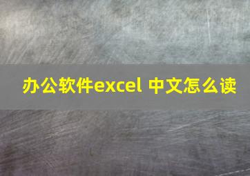 办公软件excel 中文怎么读