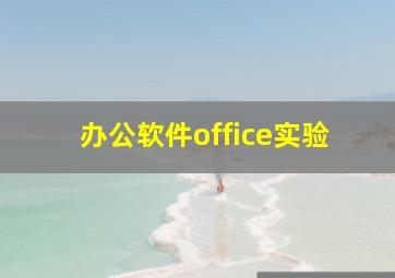 办公软件office实验