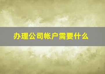 办理公司帐户需要什么