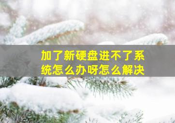 加了新硬盘进不了系统怎么办呀怎么解决