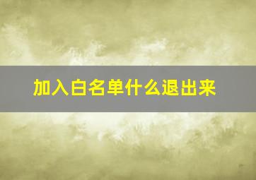 加入白名单什么退出来